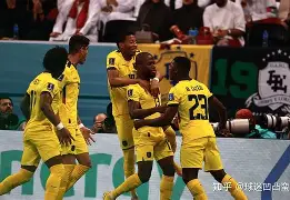 摩尔道瓦主场憾负奥地利，小组出线希望渺茫的简单介绍