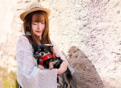 维罗纳连续战平，逐渐摆脱保级危机的简单介绍